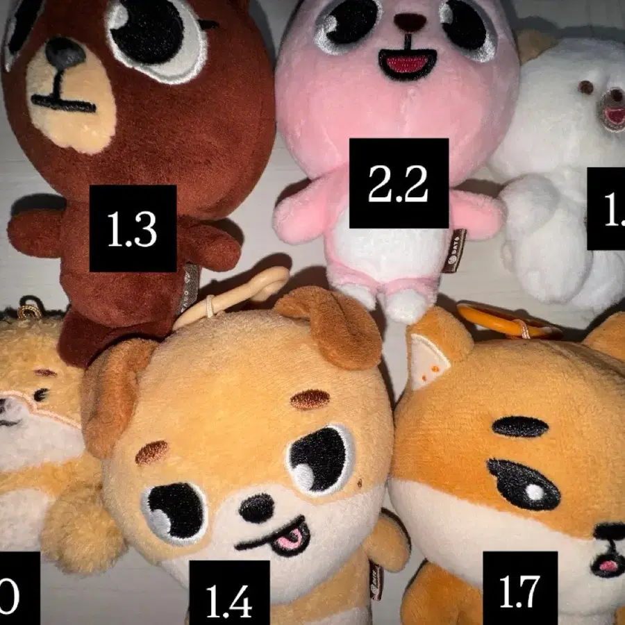 데이식스 데니멀즈 22돈 판매