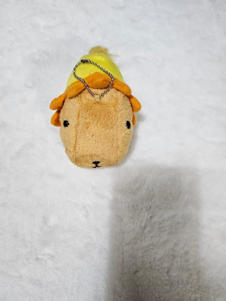 카피바라상 사자잠옷 인형