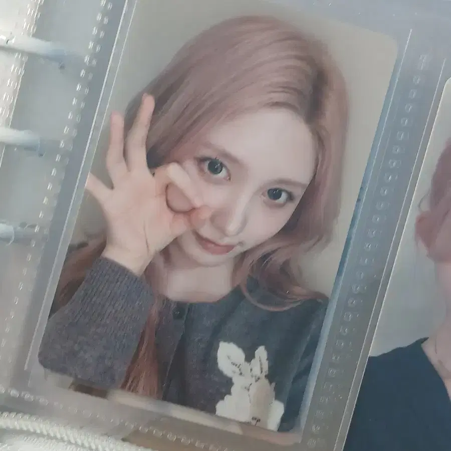 아이브 비올라잇 일본 가을 시리얼 넘버 응모추첨 스페셜 이벤트 일본회장