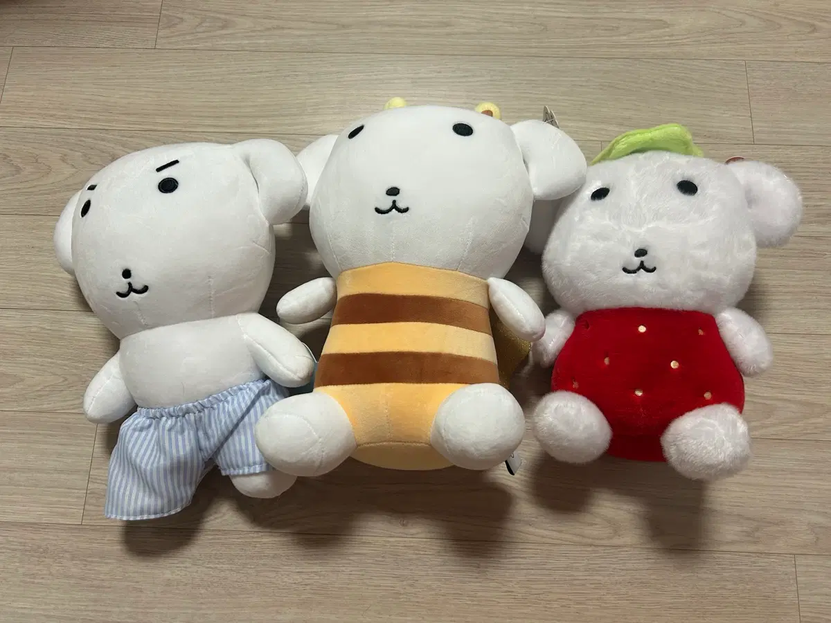 가나디 중형 인형 일괄 판매 (딸기/꿀벌/파자마)