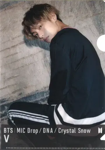 BTS MIC Drop/DNA/Crystal Snow V 미니 클리어 파일