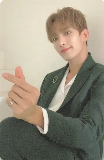 SEVENTEEN 떨어지는 꽃잎 DK 트레이딩 카드