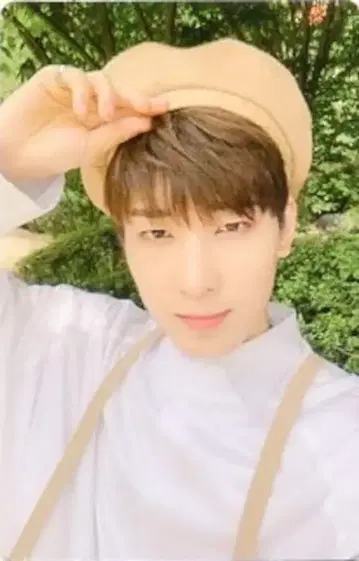SEVENTEEN An Ode WONWOO 트레이딩 카드 그린