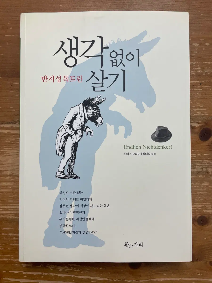 생각 없이 살기 : 반지성 독트린 - 한네스 슈타인