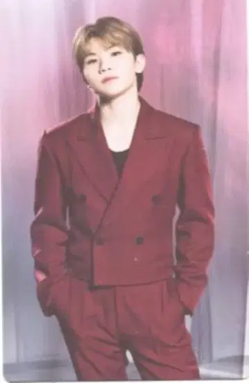SEVENTEEN POWER OF LOVE WOOZI 트레이딩 카드 0033