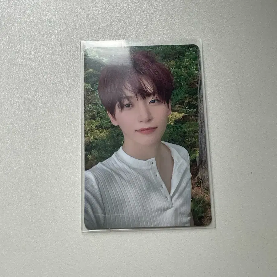 크래비티 정모 포카 양도 앨포 세림앨런우빈원진민희형준태영성민