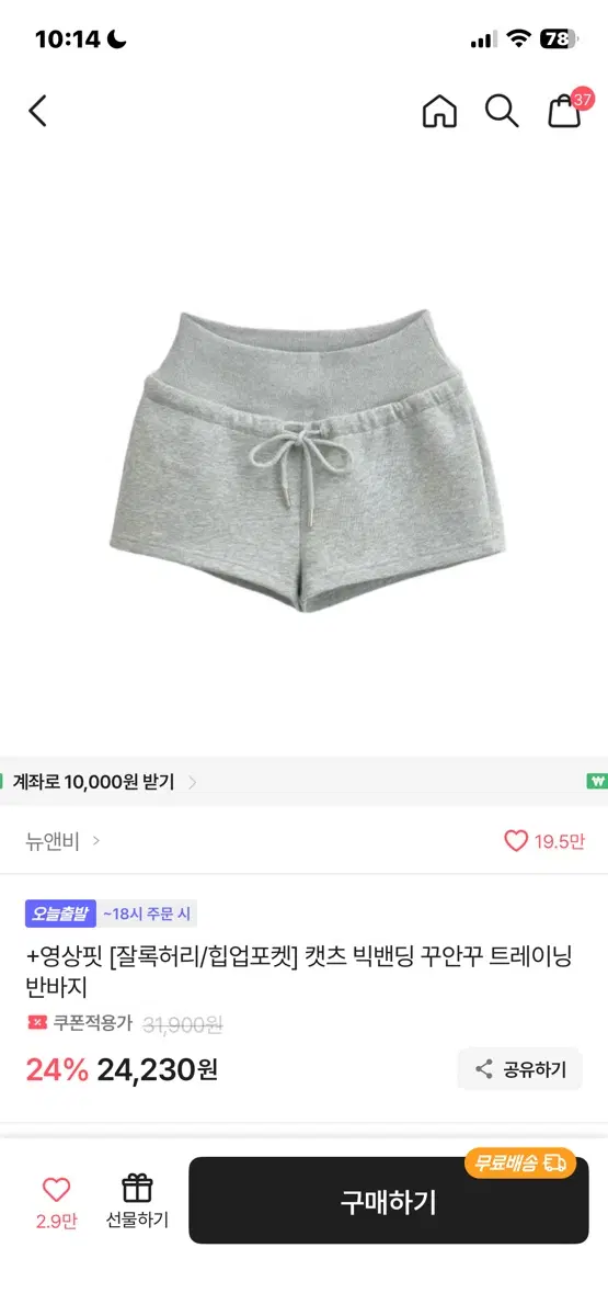 에이블리 뉴앤비 캣츠 빅밴딩 트레이닝 반바지