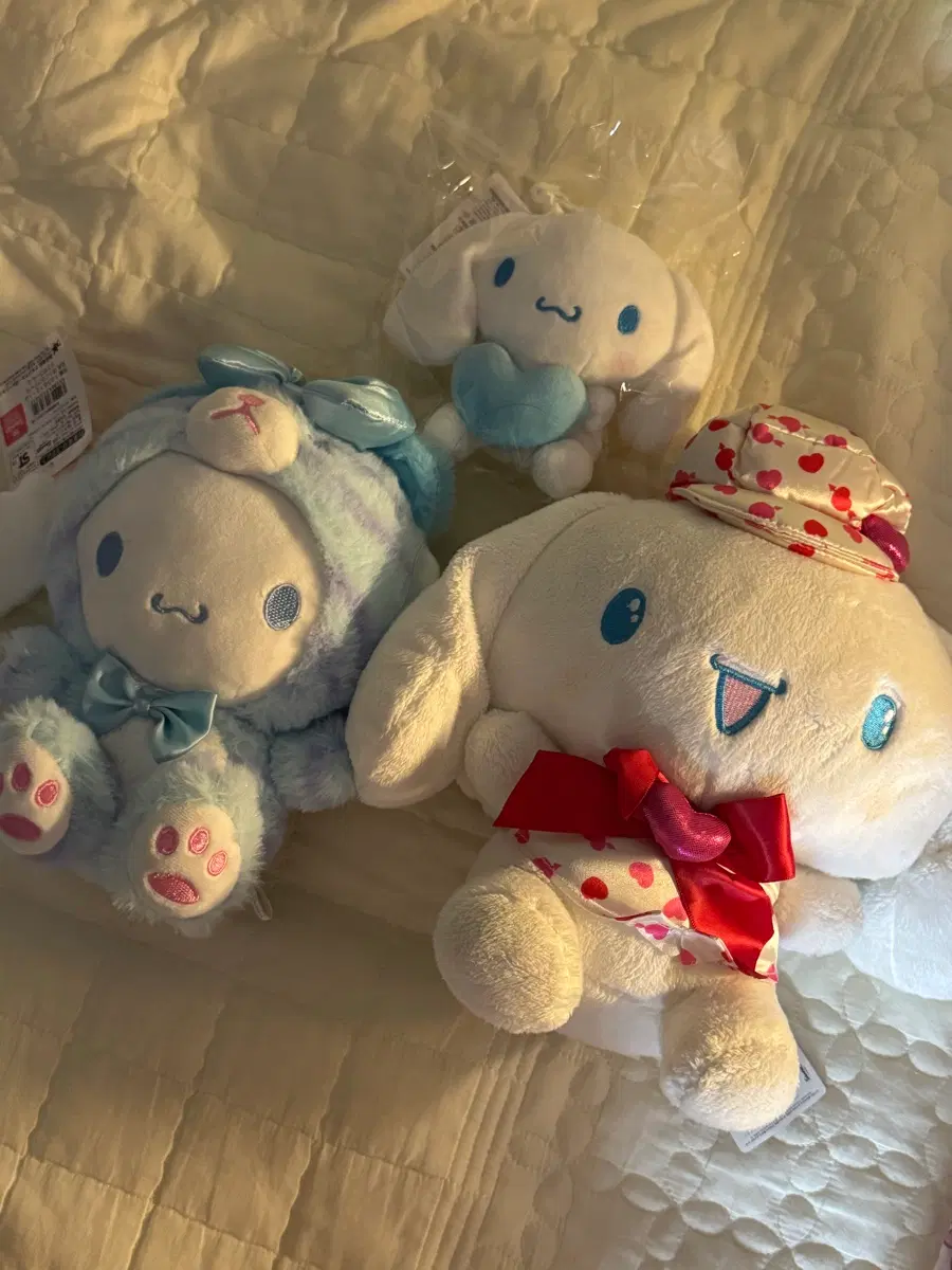 (일괄)산리오 시나모롤 인형