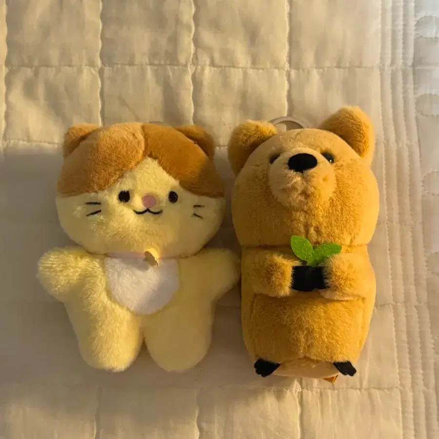 (개당) 고양이 // 쿼카 인형키링 판매
