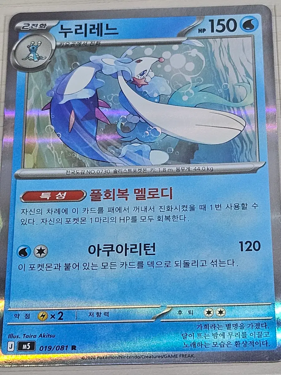[특가] 포켓몬카드 누리레느