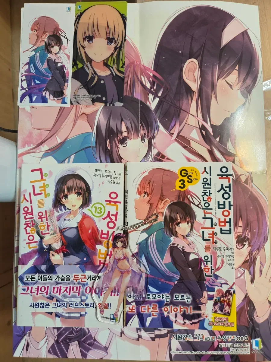 시원찮은 그녀를 위한 육성방법 13권 (사에카노 13권)