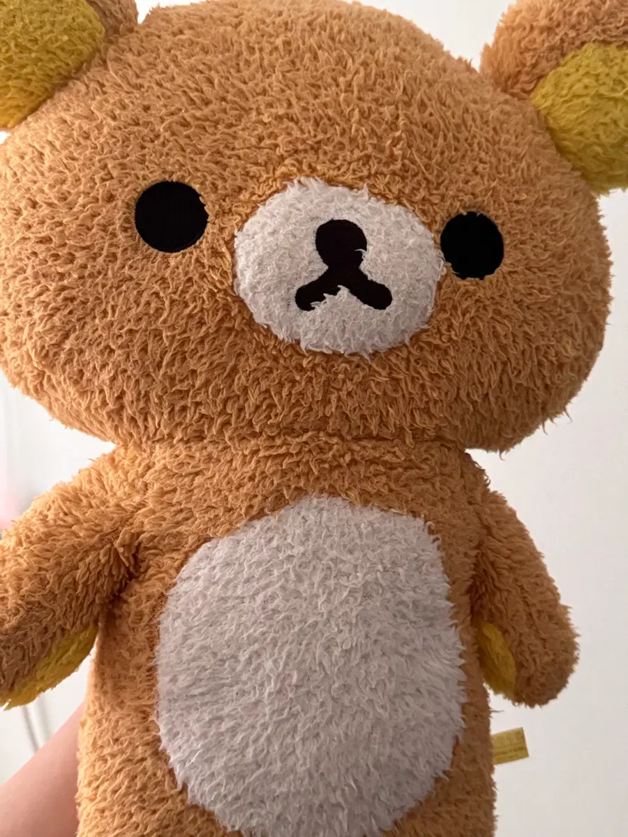 리락쿠마 대형인형 뽀글 뽀실 뽀용