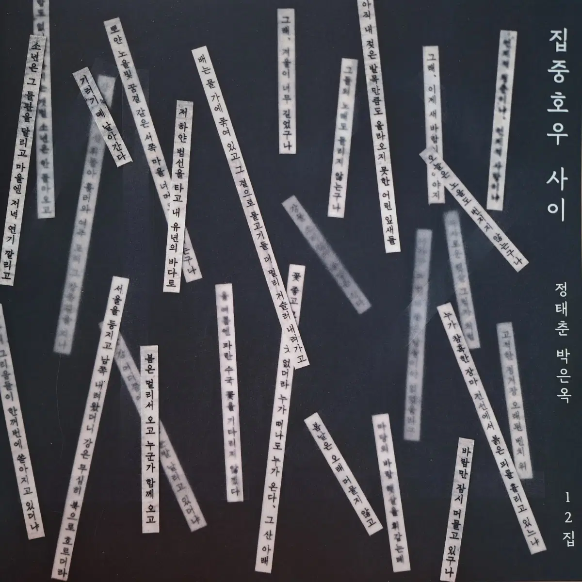 친필싸인반/정태춘 박은옥 12집 한정판-집중호우 사이 LP
