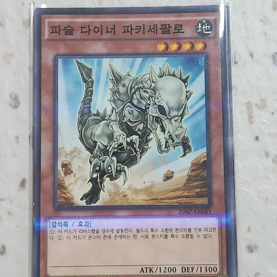파슬 다이너 파키세팔로 퍼에 페러렐 20AP-KR043 5장