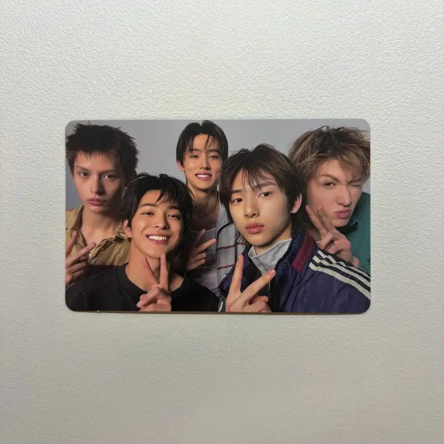 코르티스 GREENGREEN STUDIO CHOOM GIFT 단체 포카