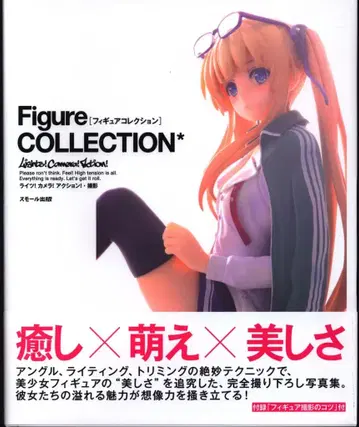 스몰 출판 Figure COLLECTION*피규어 컬렉션 (오비 포함)