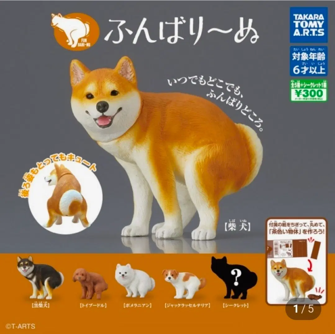 똥싸는 강아지 가챠 시바견
