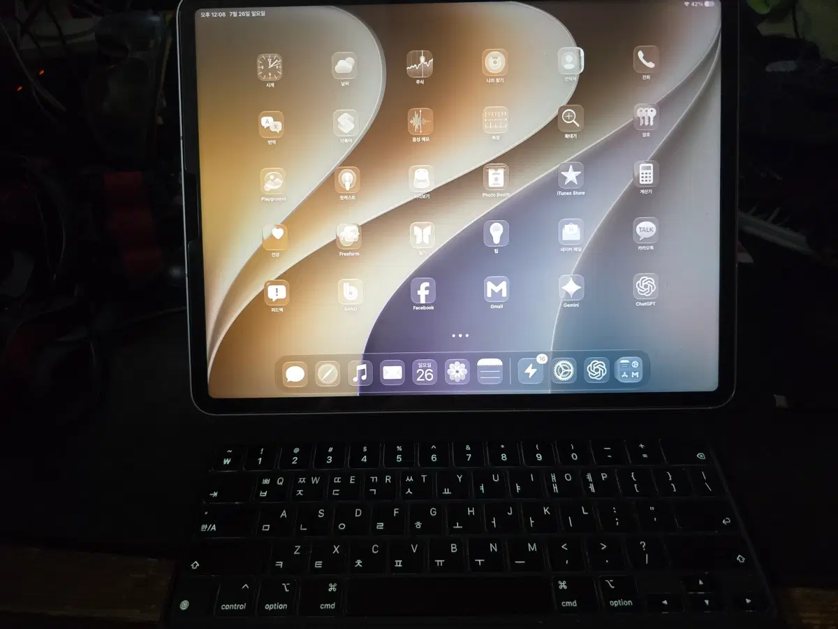 iPad Pro 12.9인치 5세대(M1) 512GB