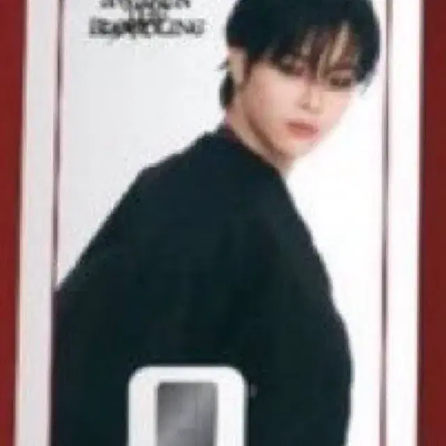 앤팀 니콜라스 의주 나마네 카드 부적 인형 키링 엽서 스티커 양도 판매