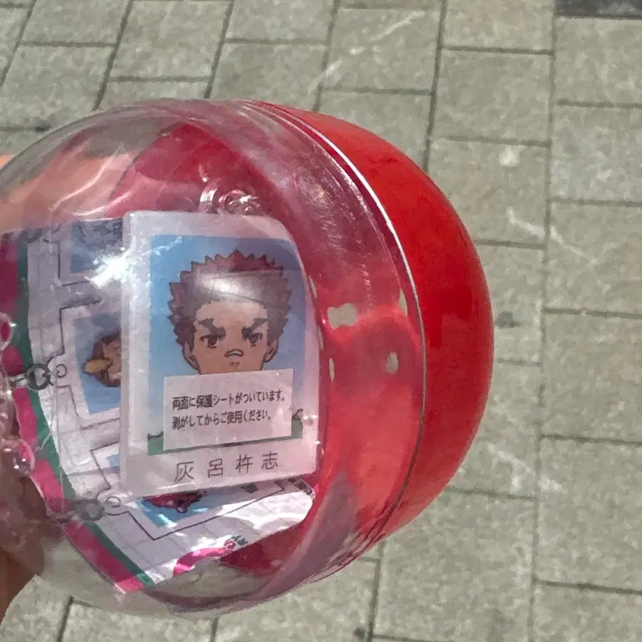 사이키쿠스오의 재난 증명사진가챠 하이로