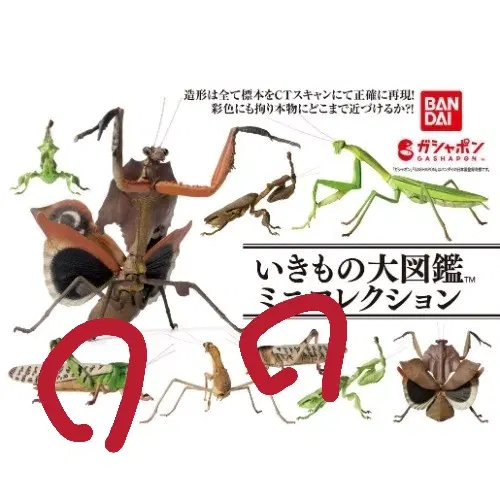 구해요) 생물대도감 거북&미니컬렉션