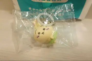 치이카와 영화 토끼 메지루시 키링 오늘 발송