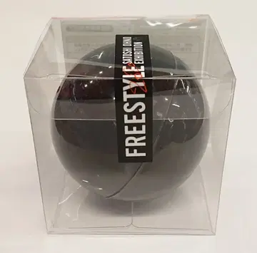 아라시 20년 FREESTYLE 오노 사토시 마그넷 블랙