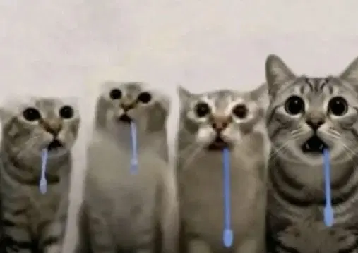 완료