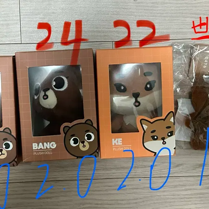 데이식스 데니멀즈 24방 22방 22케 쁘띠방