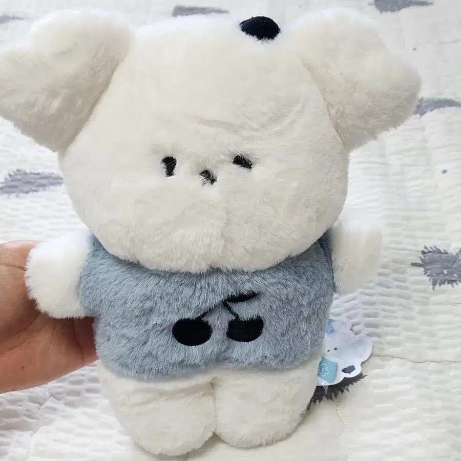 150 스튜디오플러피M 강아지 플러피 봉제 인형