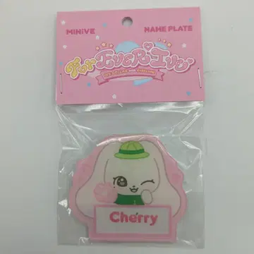 IVE EVERLAND For EVER IVE WONYOUNG MINIVE NAME PLATE