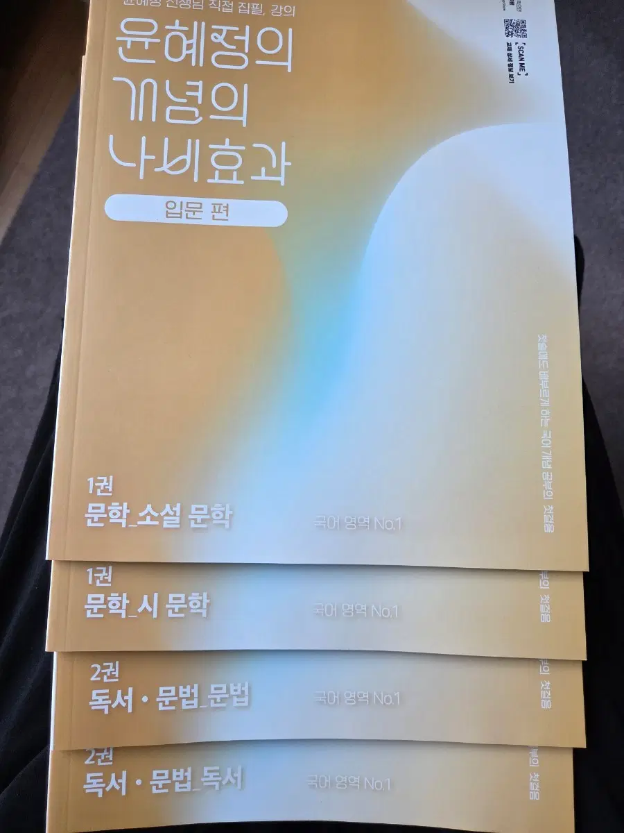 윤혜정의 개념의 나비효과 입문편