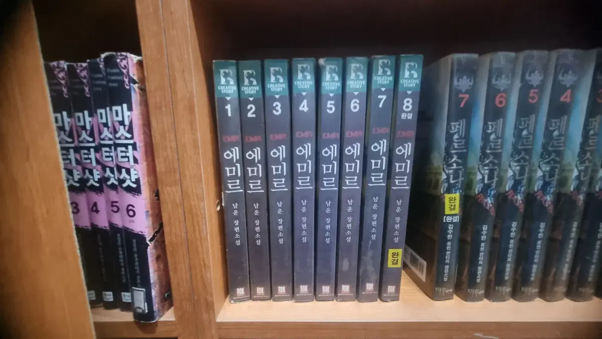 에미르 1-8 완 남운 판타지 소설
