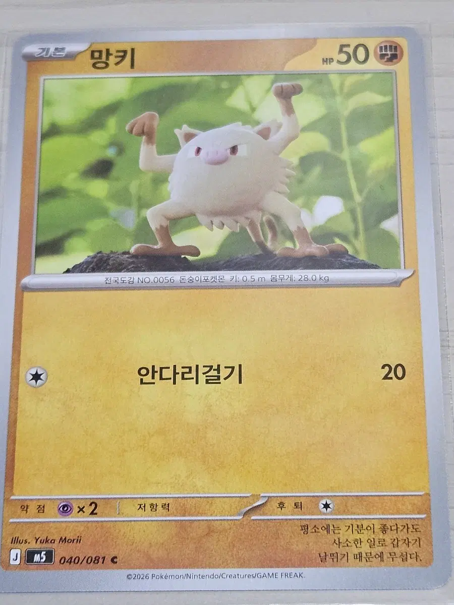 [최저가] 포켓몬 카드 망키 040/081 C