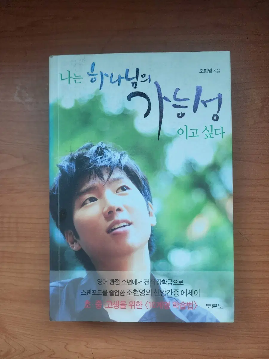 나는 하나님의 가능성이고 싶다 에세이
