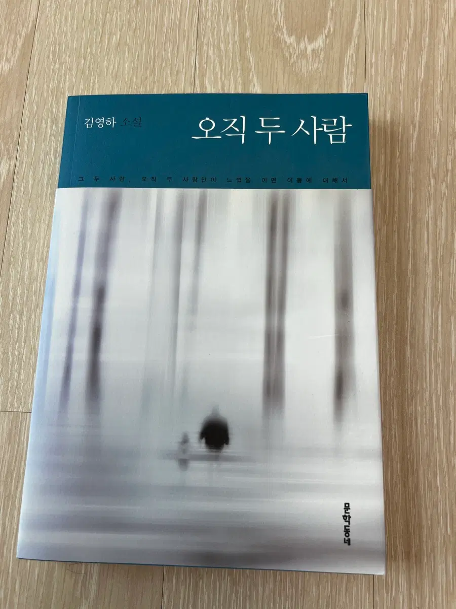소설책(오직 두사람, 82년생 김지영)