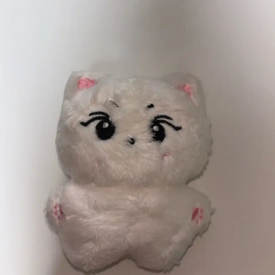 양꼬미