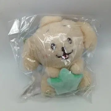 NCT WISH INTO THE WISH Our WISH ENCORE IN SEOUL JAEHEE STAR WISH DOLL