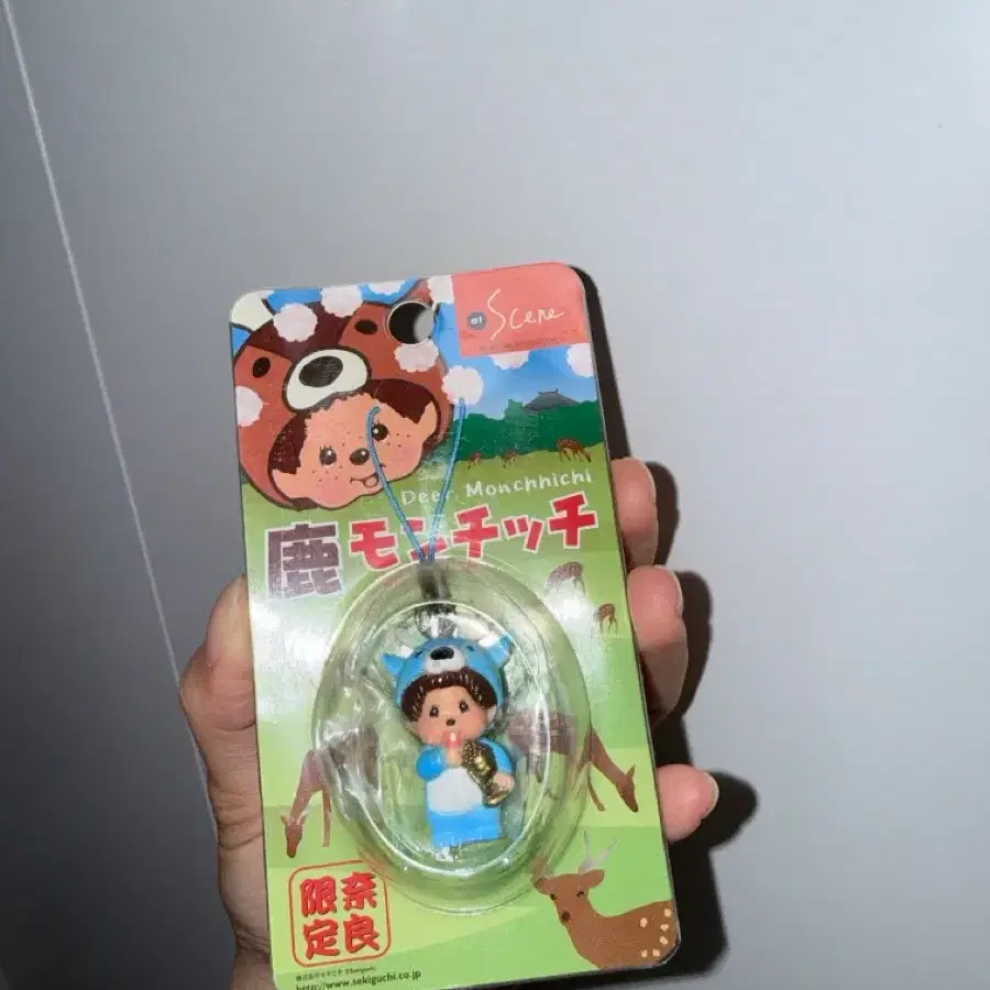 몬치치 지역 한정 나라 키링 고전