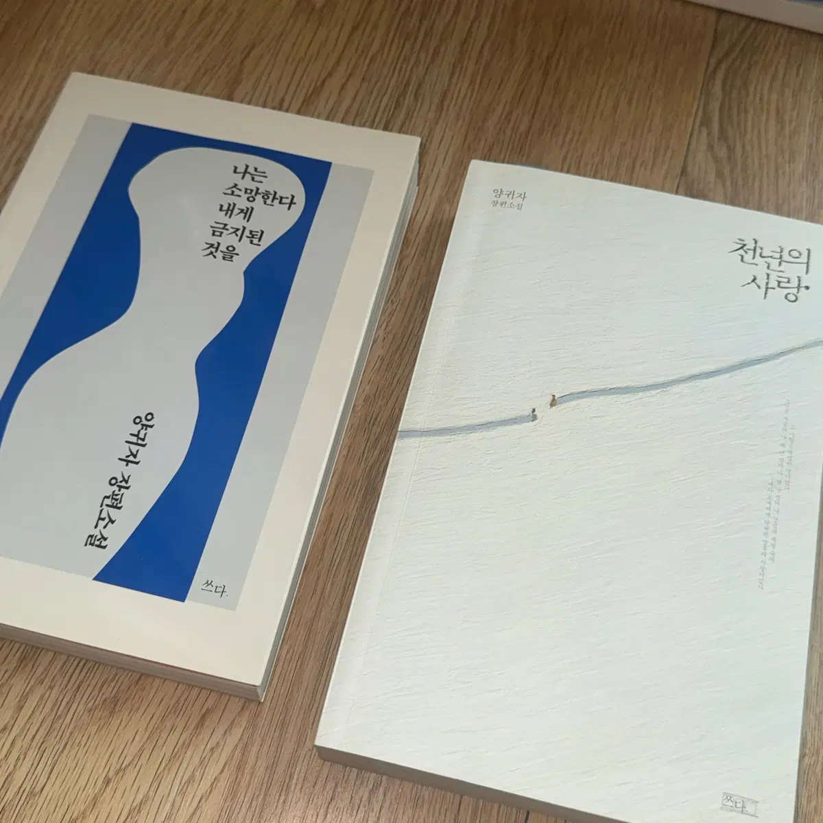 양귀자 소설책 일괄 판매 천년의 사랑 + 나는 소망한다 내게 금지된 것을