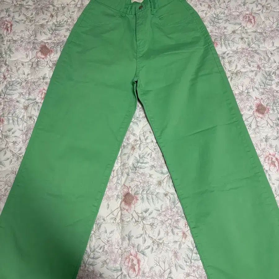 페스토 팬츠
