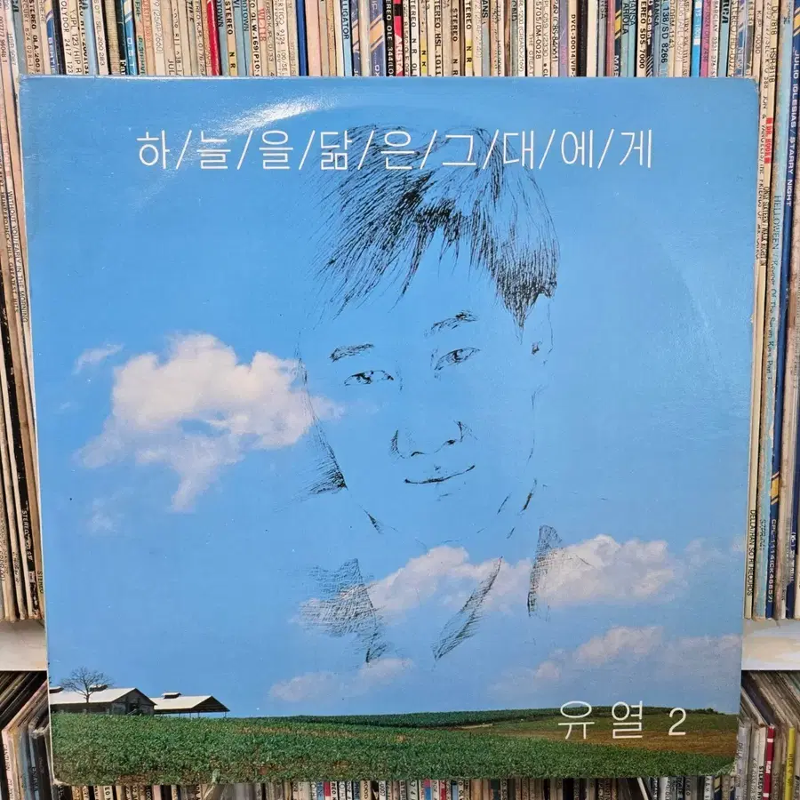 유열 2 하늘을 닮은 그대에게 lp판