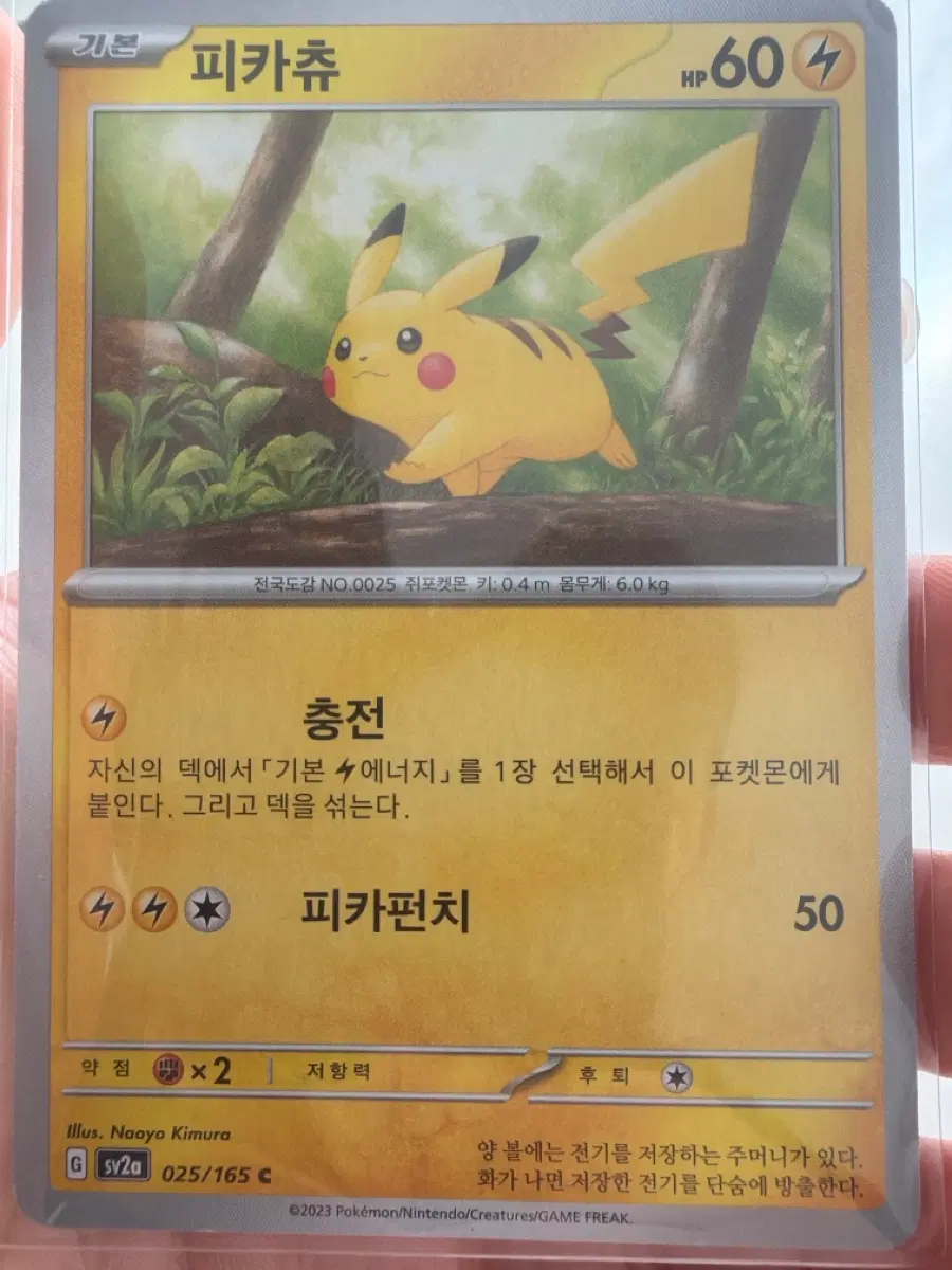 포켓몬카드 피카츄 151