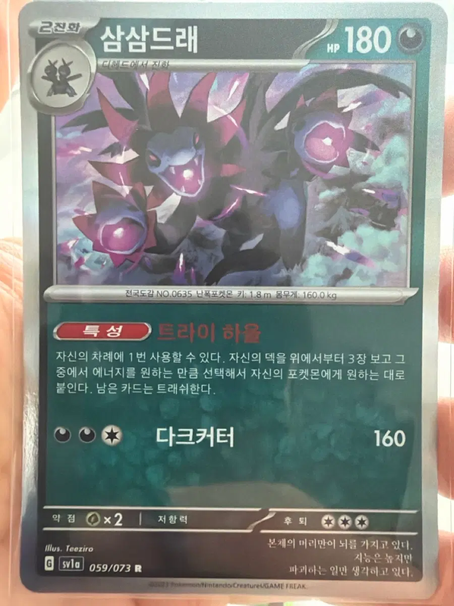 포켓몬카드 삼삼드래 R