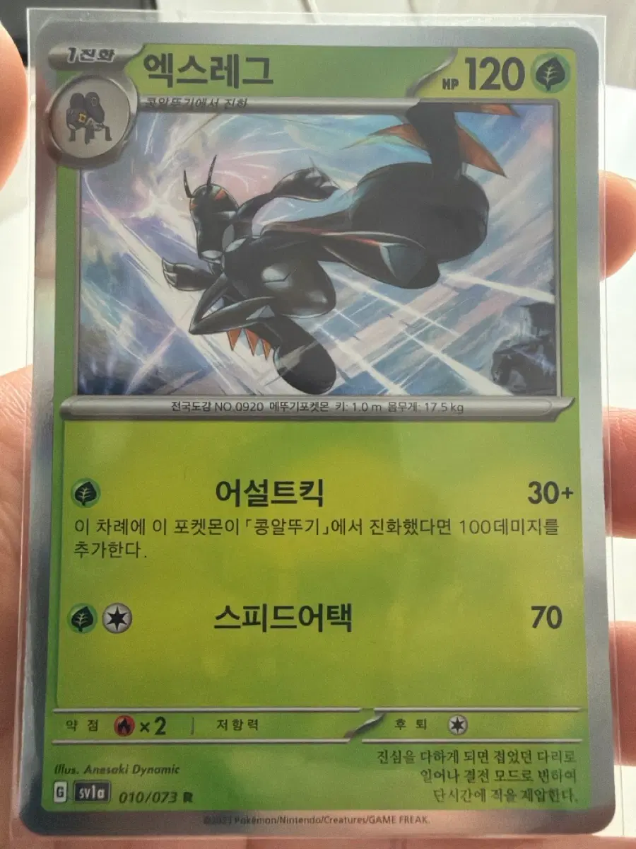 포켓몬카드 엑스레그 R