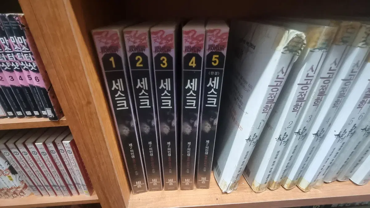 세스크 1-5 완 제2의인생 퓨전 판타지 소설