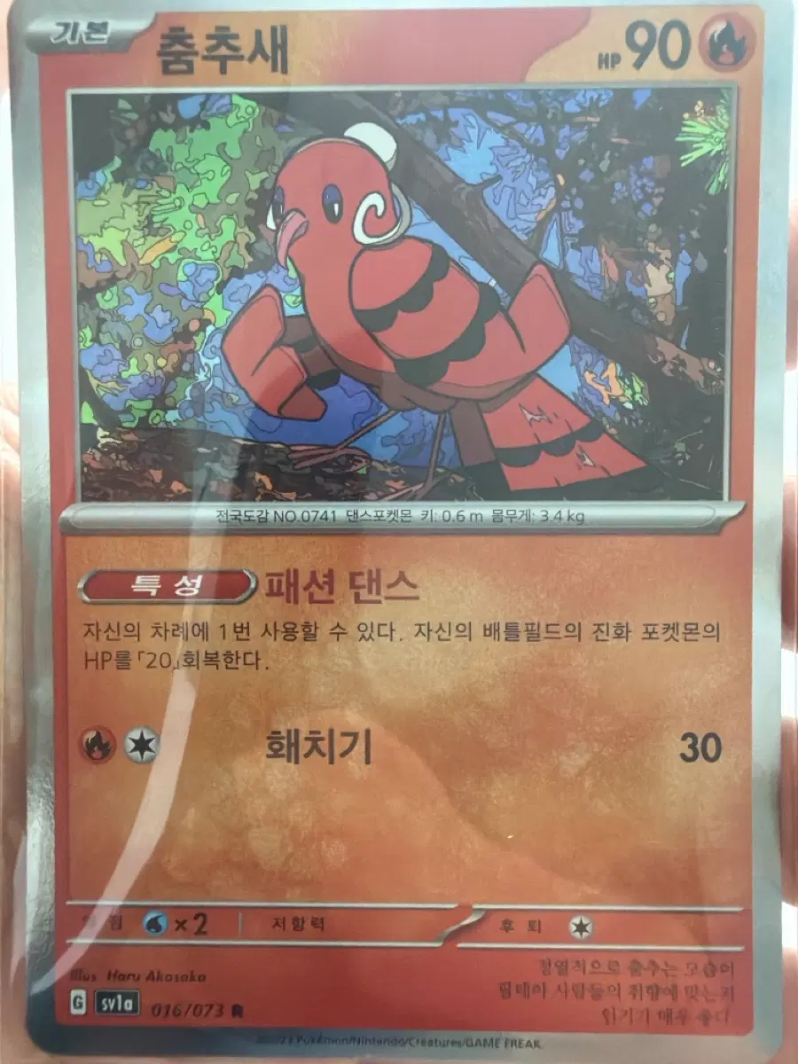 포켓몬카드 춤추새 R