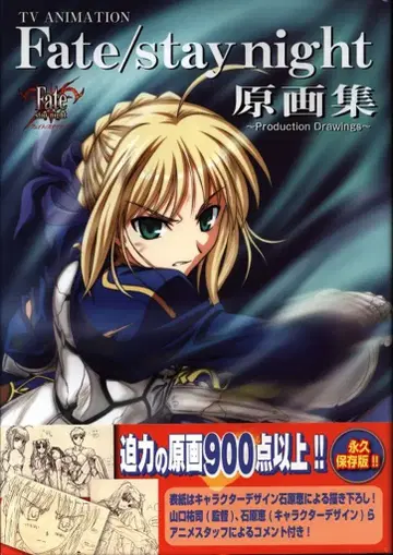 이치진샤 DNA 메디북스 TV 애니메이션 Fate/stay night 원화집 (오비 포함)