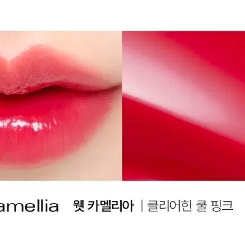 [미개봉] 삐아 워터 립스틱 웻 카멜리아 / 틴트 립밤