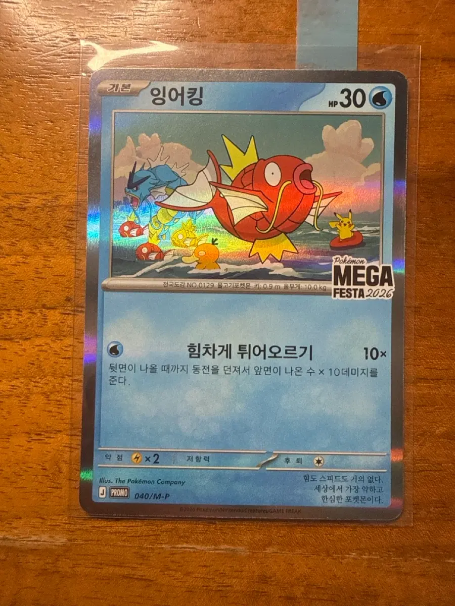 잉어킹 프로모